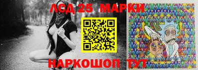 гидропоника Шебекино