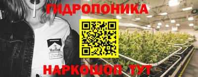 спайс Шелехов