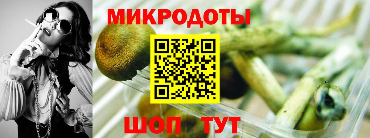 Шали  Псилоцибиновые грибы прущие грибы  Галлюциногенные грибы мухоморы  Вход с VPN 